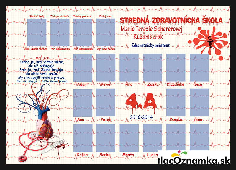 Art - Tablo na plátne 2052: lekár, lekárnik